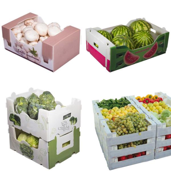 Spinach Corrugated Plastic Produce Boxes 2mm Corflute Storage Boxes
