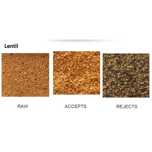 Integrated Nuts Color Sorter Cashew Colour Sorting Machine Custom