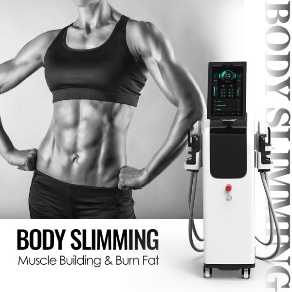 EMS body slimming
