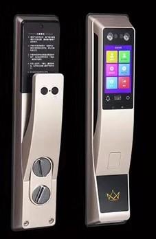 Quality Brief Handle Face Recognition Smart Lock Real Fingerprint Identification for sale