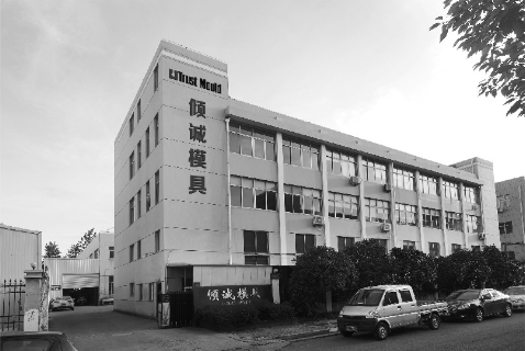 SMC Compression Mold for Wall Panels 300000-1000000 Shots Life