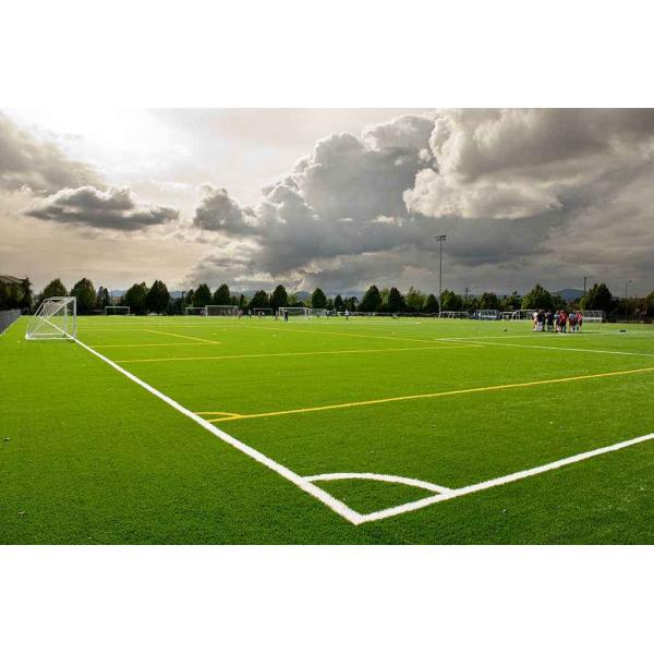 Mini Artificial Grass Soccer Field Sun Protection Any Weather Durable