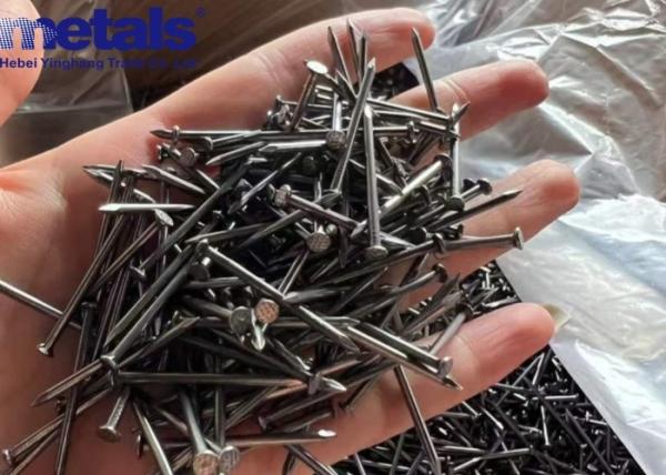 Quality Carbon Steel Stainless Steel Nail Common Wire Various Surface Finishes for sale