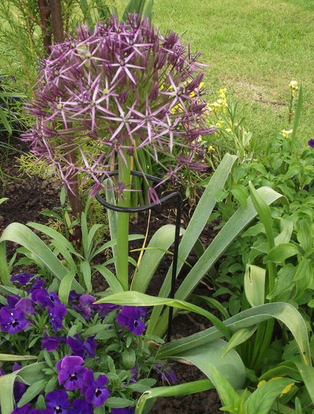 Metal Plant Support Stainless Steel Wire Forming Bright Surface For Potted Plants