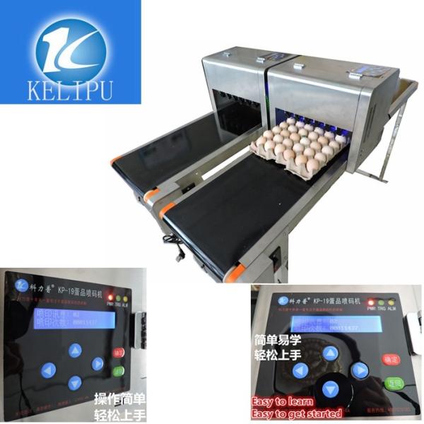 High Resolution Egg Printing Machine / Date Code Printing Machine
