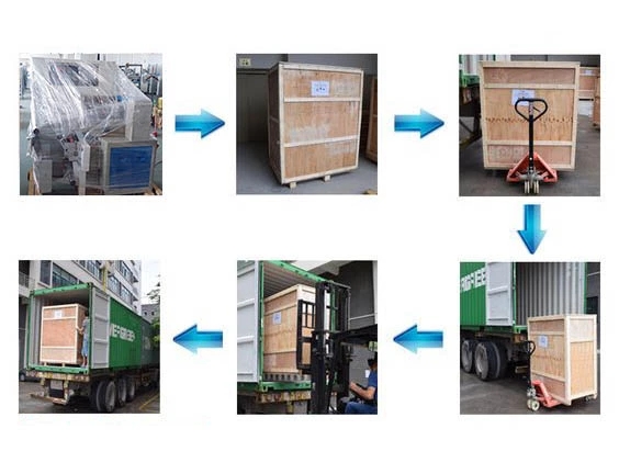 Coffee Mango Blueberry Dried Fruit Grading Machine