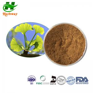 China CAS 90045-36-6 Ginkgo Biloba Leaf Extract Powder 24% Ginkgo-Flavone Glycosides on sale