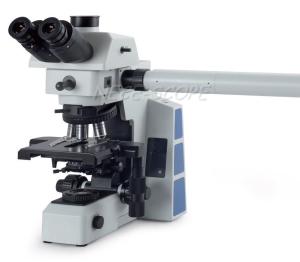 Wholesale Wild Stereo Multi View Microscope , Trinocular Stereo Zoom Microscope With Digital Camera from china suppliers
