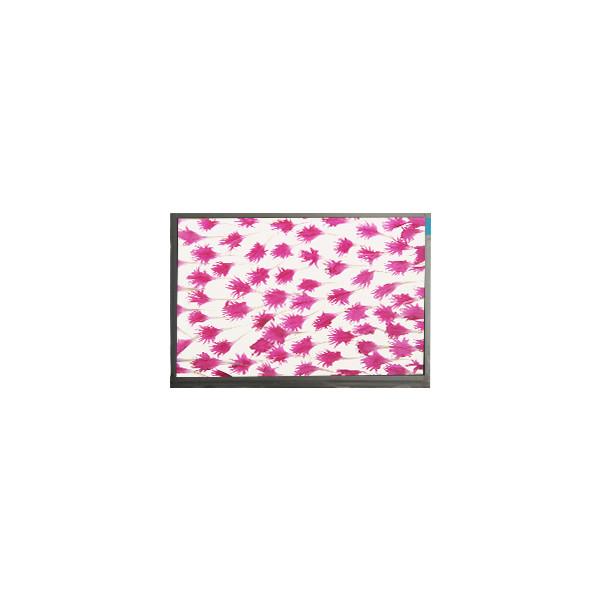 Quality 3.5 inch  LCD Screen Display NL2432HC22-30B LCD Touch Display for sale