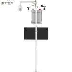 Online Wireless Environmental Monitoring System Vertical Column Installation