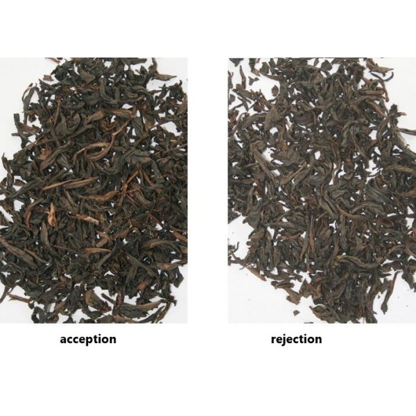 AI Variable Light Control Infrared Sorting Machine CE Certificate