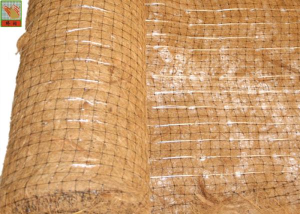Quality Plastic Netting For Erosion Control Matting , Polypropylene Erosion Control Mesh for sale