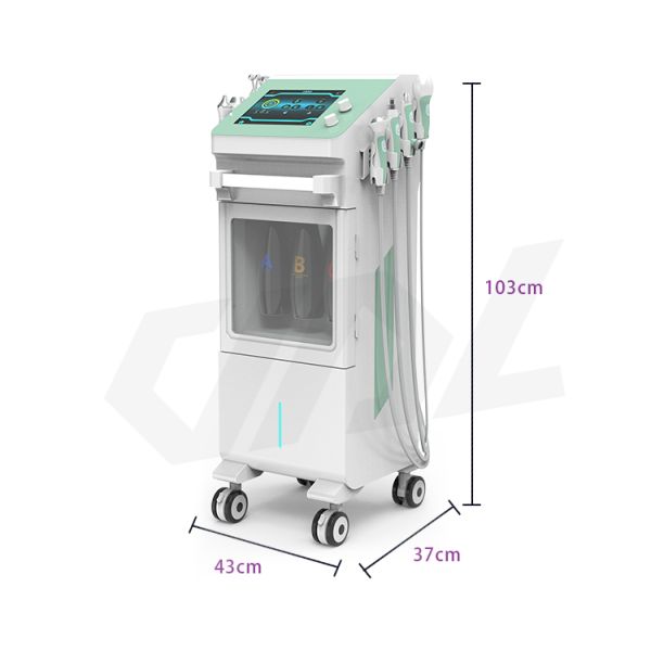 9 In 1 Hydra Dermabrasion Oxygen Jet Peel Machine Hydra Peeling Facial H2o2 Hydrogen Hydro Beauty Facial Machine