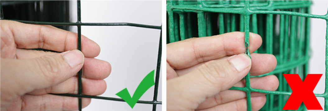 2x2 PVC Coated Welded Wire Mesh Various Colors Galvanized Surface Treatment