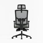 Ergonomic Mesh Office Chair with Adjustable Backrest and BIFMA Standard