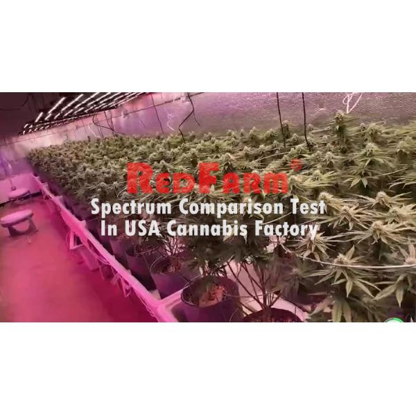 1200W 10Bar Horticulture LED Grow Light Samsung LM301B Osram 660nm 730nm