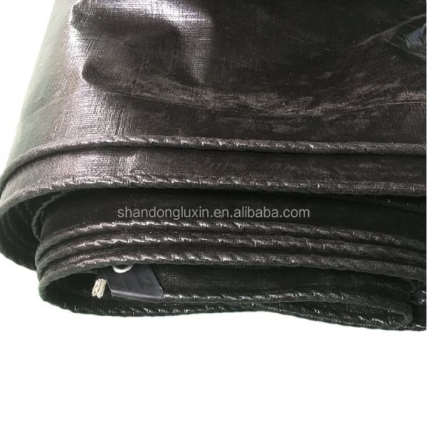 Plain Design Woven PE Tarpaulin for Waterproof Roof Cover in Customer Request Color