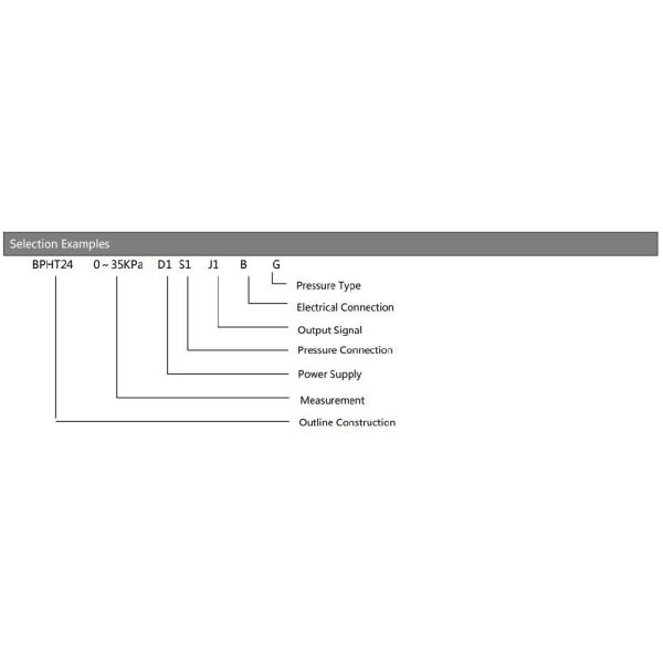Hengtong Digital Signal Output LCD Pressure Transmitter China Bpht24-III