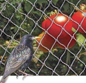 China PE Woven Anti Bird Net , Bird Proof Netting 100% New HDPE Material on sale