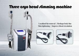 China Slimming Body Fat Removal Criolipolisis machine on sale