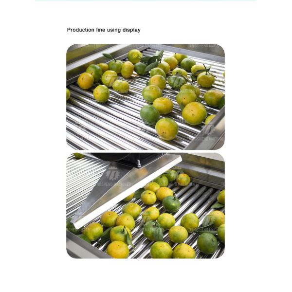 350KG 380V Vegetable air drying line fruit parallel air drying machine packaging air drying