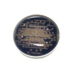 Common Anode FND round RGB 7 segment color led number display board