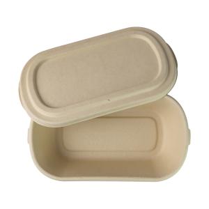 Wholesale 800ml Rectangular Disposable Packaging Containers , Bamboo Fibre Paper Pulp Box from china suppliers