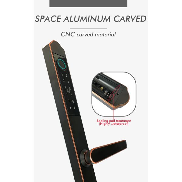 TuyaSmart Weatherproof Digital Lock ROHS Residential Door Locks Electronic