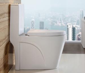 China Bathroom Porcelain One Piece Toilet Elongated Sanitary Ware Toilet on sale