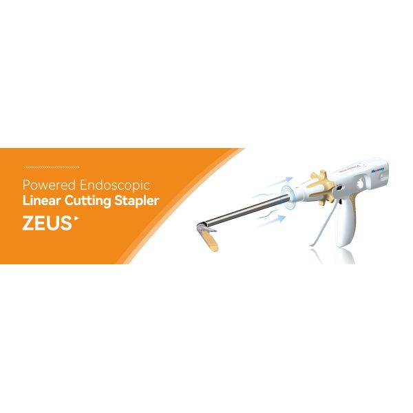 Linear Stapler Surgery - Powered Endoscopic Stapler