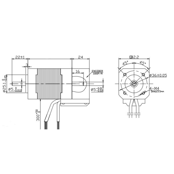 High Performance Brushless Dc Motor 36V Mini High Torque Brushless Dc Motor BLDC With Encoder 1000ppr 2500ppr