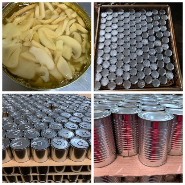 Sliced Canned Champignon Mushroom