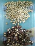 Automatic Macadamia Nut Mini Color Sorter Nuts Color Sorter Machine Color