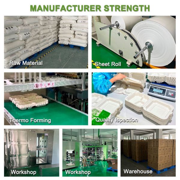 Biodegradable PP & Cornstarch Utensils – Eco-Friendly Disposable Cutlery for Modern Foodservice