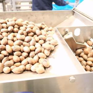 Wholesale 220V 100000 Pieces CE Approved Pecan Shelling Machine Up To 2T Output Each Hour from china suppliers