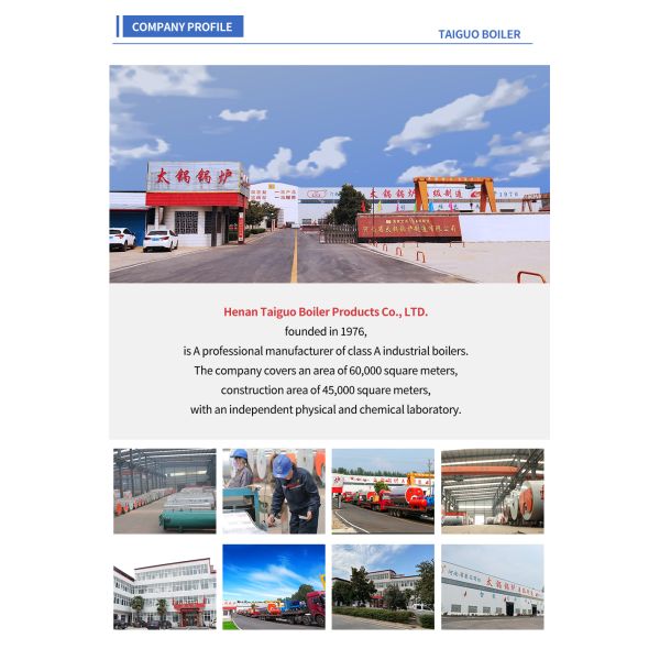 Fully Automatic Vertical Gas Fired 500kg/H Steam Boiler For Food Plant