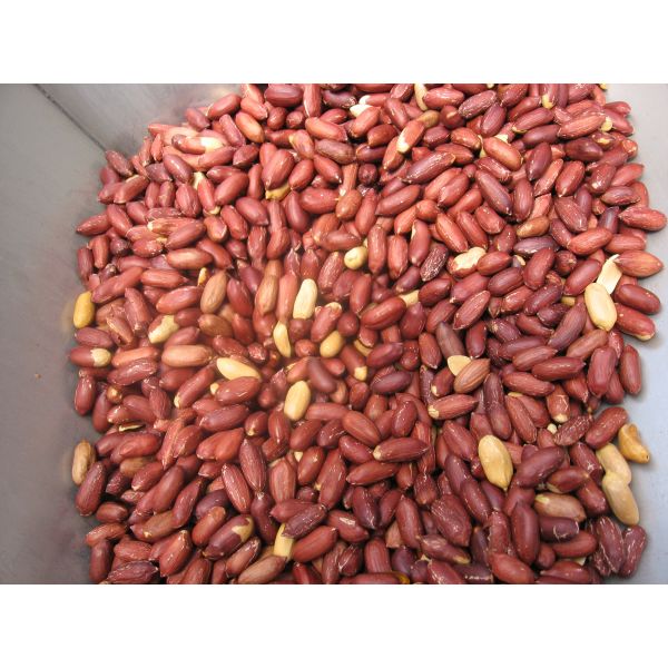 Roasted Peanut Peeling Machine , Groundnut Separation Skin Peeler Machine