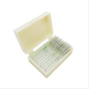 Wholesale 12pcs Microscope Customization Prepared Botany Slides With Storage Case from china suppliers