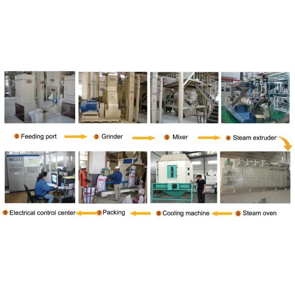 Automatic Fish Feed Processing Machinery With SGS Certification