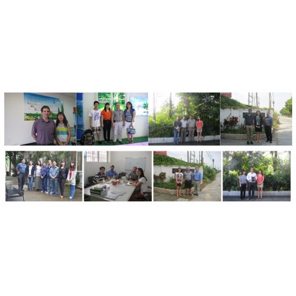 Outdoor Steel Recycling Containers Trash Can Outside Park Street Waste Garbage Bin Public Commercial Metal Refuse Bin