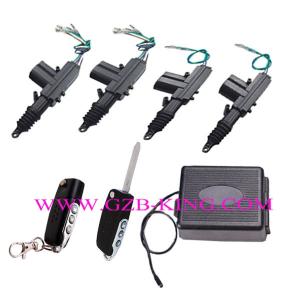 Remote Central Locking System