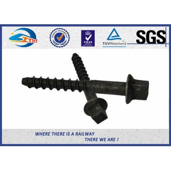 8.8 Grade 45# Oxide Black Railway Sleeper Screws Spike Insert Plastic Dowel