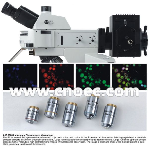 USB Digital Fluorescence Microscope Laboratory A16.0909