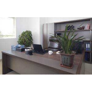 Suzhou Tongjin Polymer Material Co.,Ltd