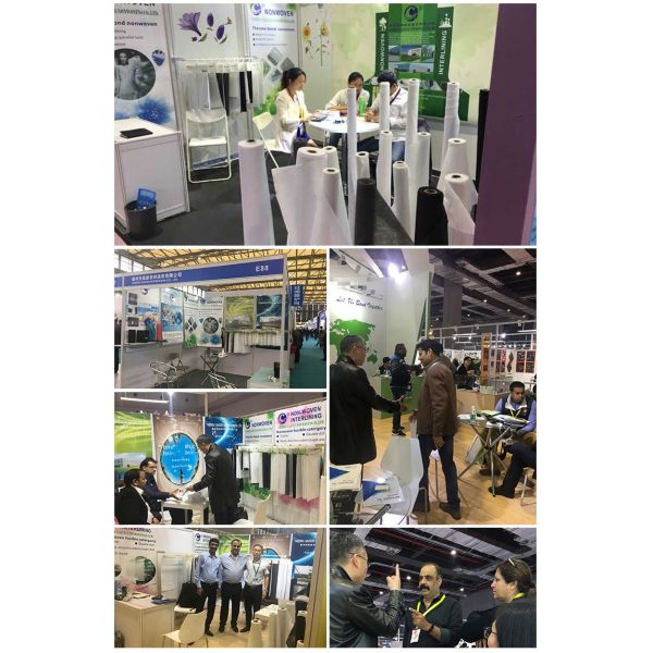 Highly Knitted Fabric Interfacing Adhesive Shirt Collar Fusing for Garment Industry