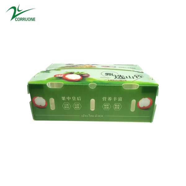 5mm 6mm Reusable Corrugated Plastic Boxes Recyclable UV Coating