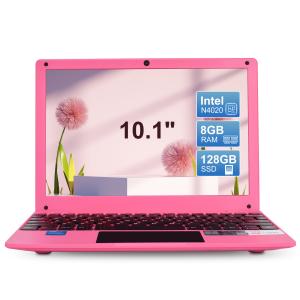 China Portable Windows Laptop Computer 10.1 Inch IPS Screen Intel Celeron N4020 Laptop on sale