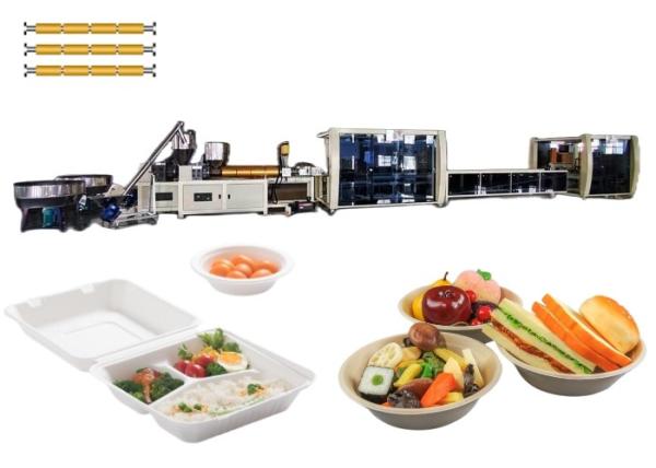 Quality Three Screw Blister Equipment Disposable Plastic Container Making Machine for sale