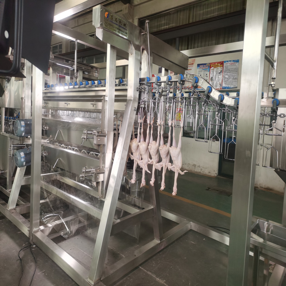 Wholesale Compact mobile Poultry Slaughter Line / Mobile Chicken Butcher 500bph from china suppliers