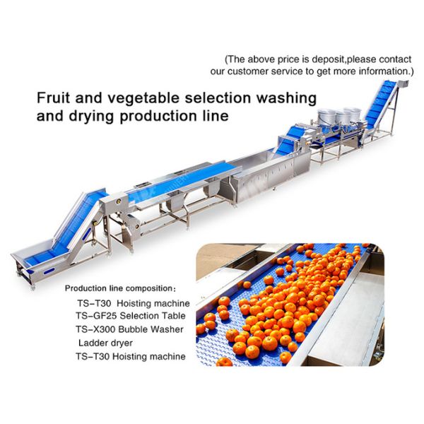 1500KG/H Fruit And Vegetable Processing Line cleaning Sorting Machine